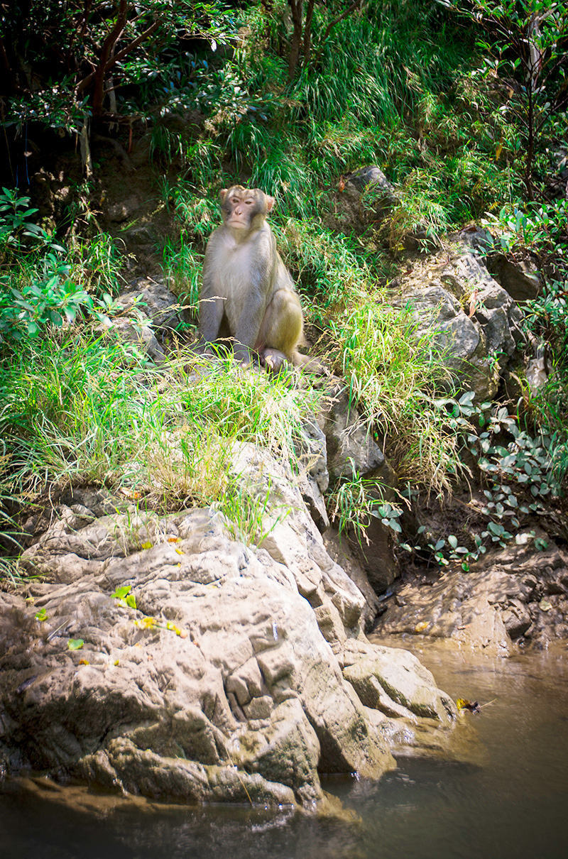 响马河漂流